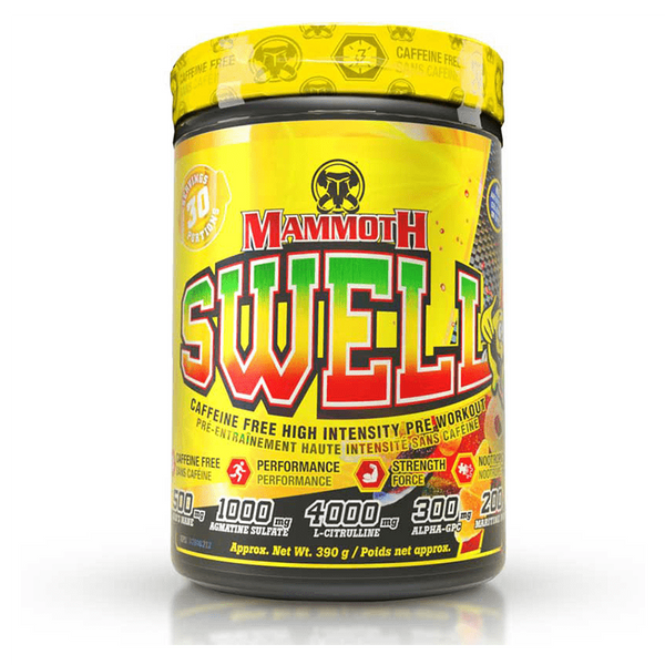 Mammoth Swell 390g